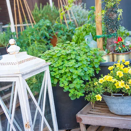 Ξενοδοχείο Admiral Art 4*