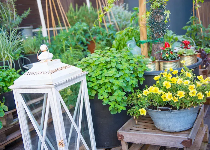 Szálloda Admiral Art 4*